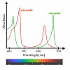 Chlorophyll-Spectra