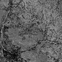 ndvi nbg