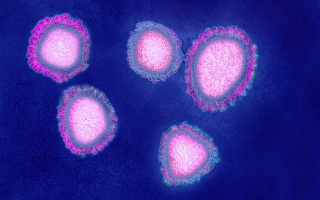Corona-Virus